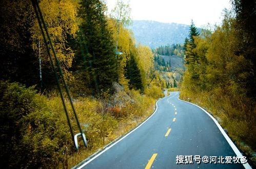 新疆喀納斯風(fēng)景區(qū)是怎么做到保護(hù)環(huán)境與觀賞性高兩不誤的