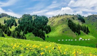 去過南山好多回,這些地方風(fēng)景如畫,但你都能叫上名字嗎