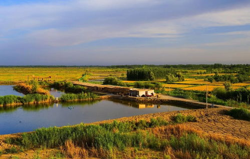 新疆這5處國家級試點(diǎn)濕地公園通過驗(yàn)收,快為你家鄉(xiāng)的美點(diǎn)個贊